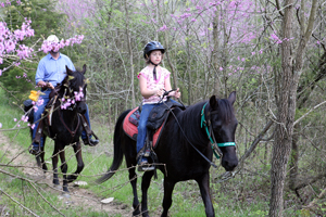 leave no trace horse riding